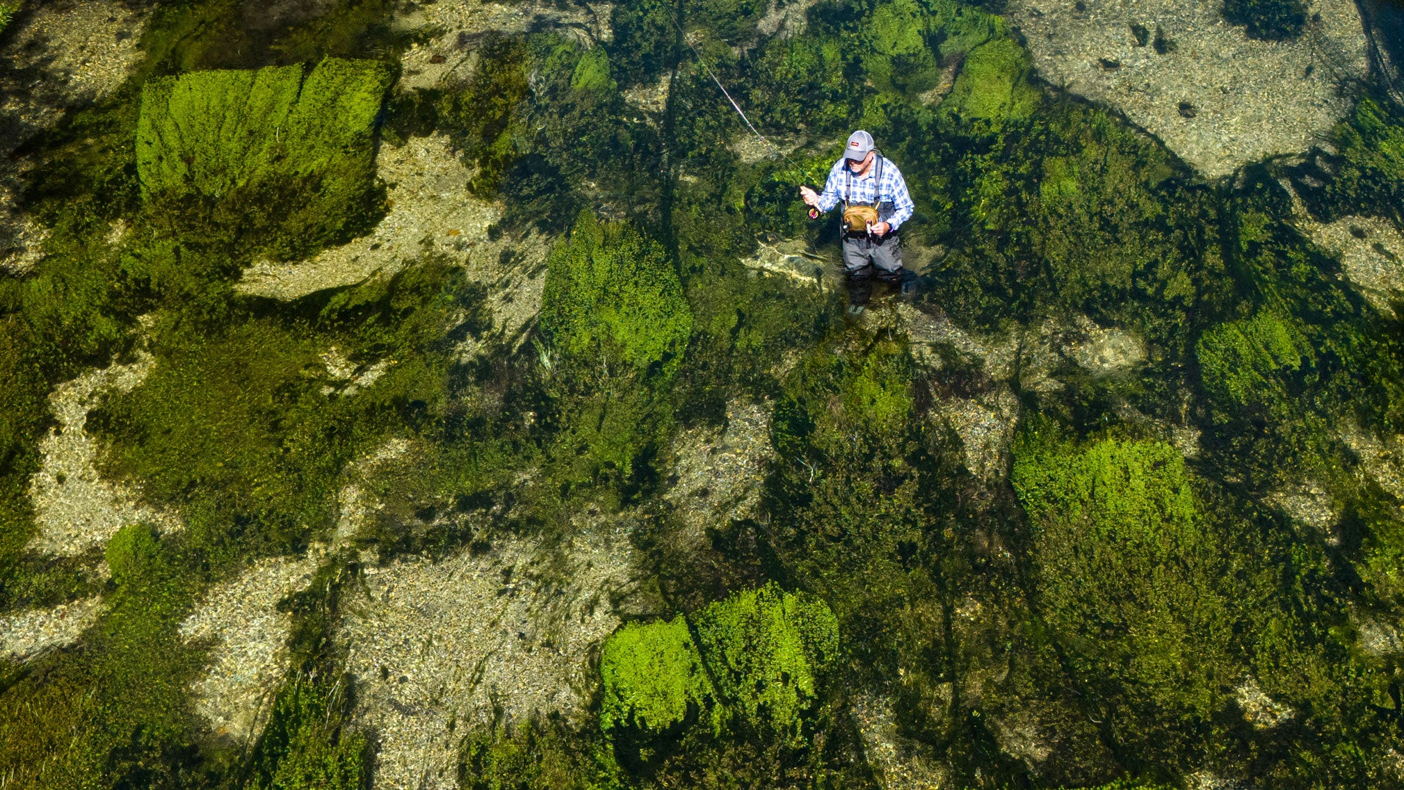 This photo taken on Tuesday, Aug. 25, 2026 shows someone fly-fishing in the Candover Brook, a chalk stream tributary of the River Itchen, near Winchester, Hampshire, southern England. The scene seems unchanging, but beneath the crystal-clear surface, the survival of salmon and trout hangs in the balance as they face the effects of climate change.