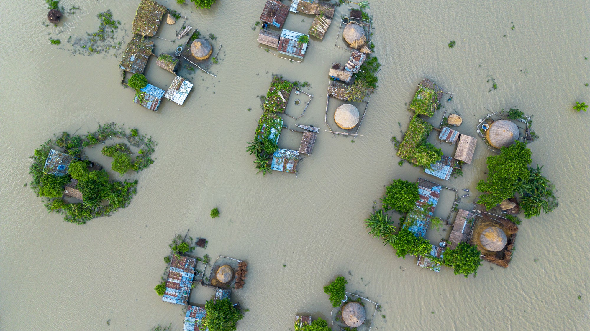 Floodwaters surrounding homes and farmland in the Middle Char area of Char Khidirpur in Paba upazila, Rajshahi district, Bangladesh, on Sept. 13, 2026. Rising water levels in the Padma River  inundated several low-lying island communities, leaving more than 200 families in Middle Char marooned. Boats were used to move cattle and belongings to safer areas. Local farmers said nearly 10,000 livestock were facing shortages of fodder and clean drinking water as grazing areas were submerged.