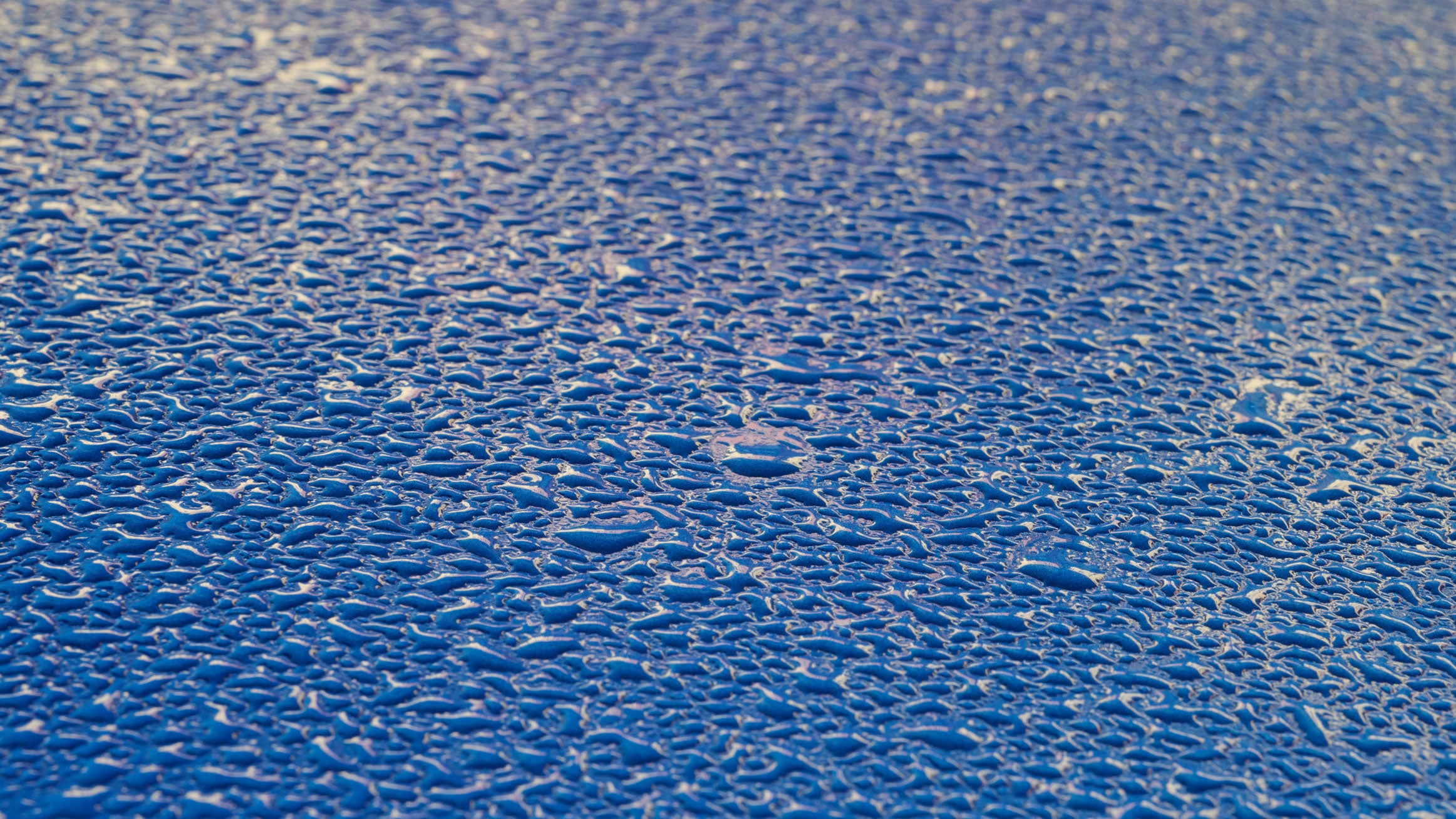 Dew on a car in Dresden, Saxony, Germany, on Sept. 15, 2026.