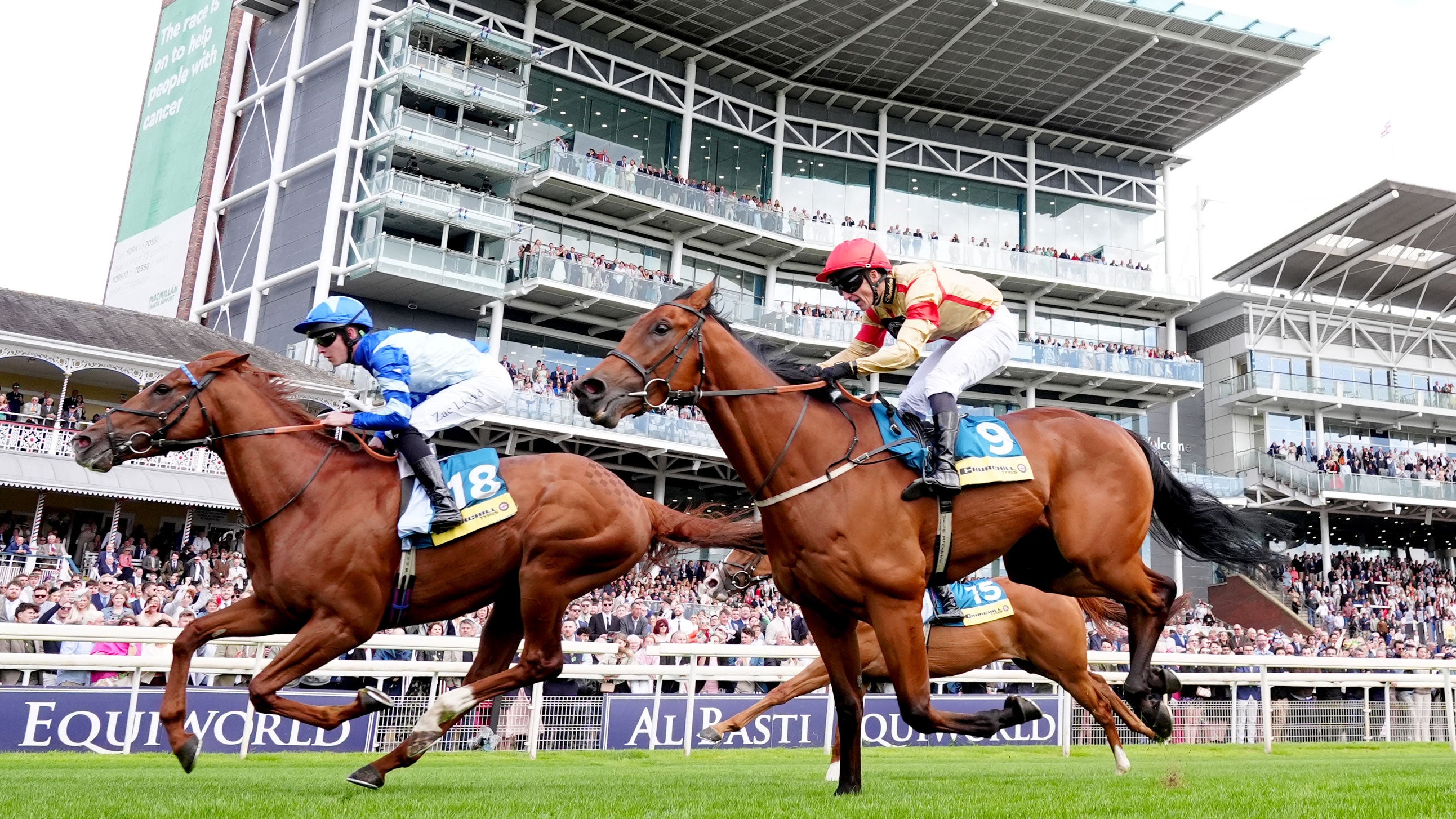 Thunder Call, ridden by Zac Lloyd, on their way to winning the Churchill Tyres Supporting Macmillan Sprint Handicap at York Racecourse on June 13, 2026. 