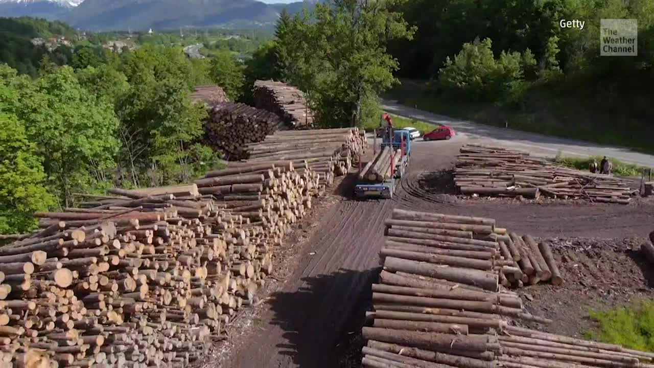 We’ve Already Used Year’s Worth of Natural Resources