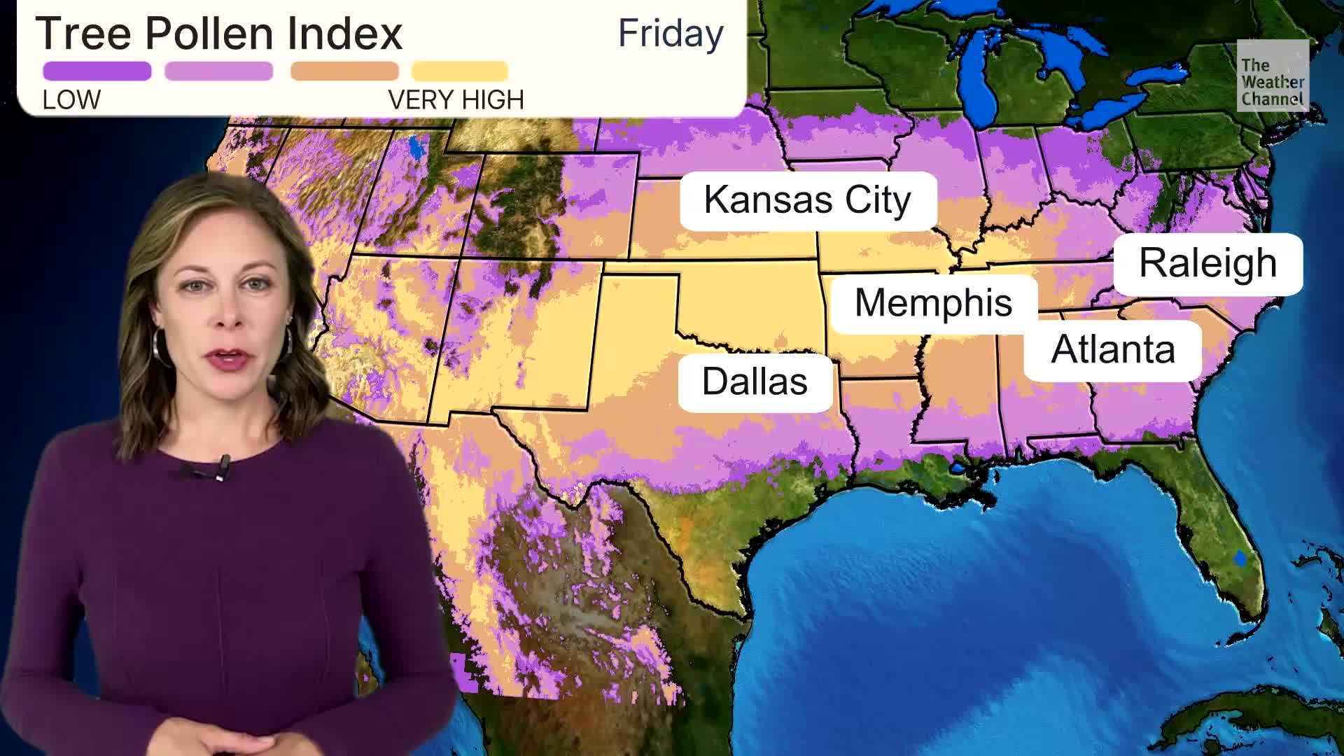 What Dry, Mild Weather Means For Your Pollen Outlook