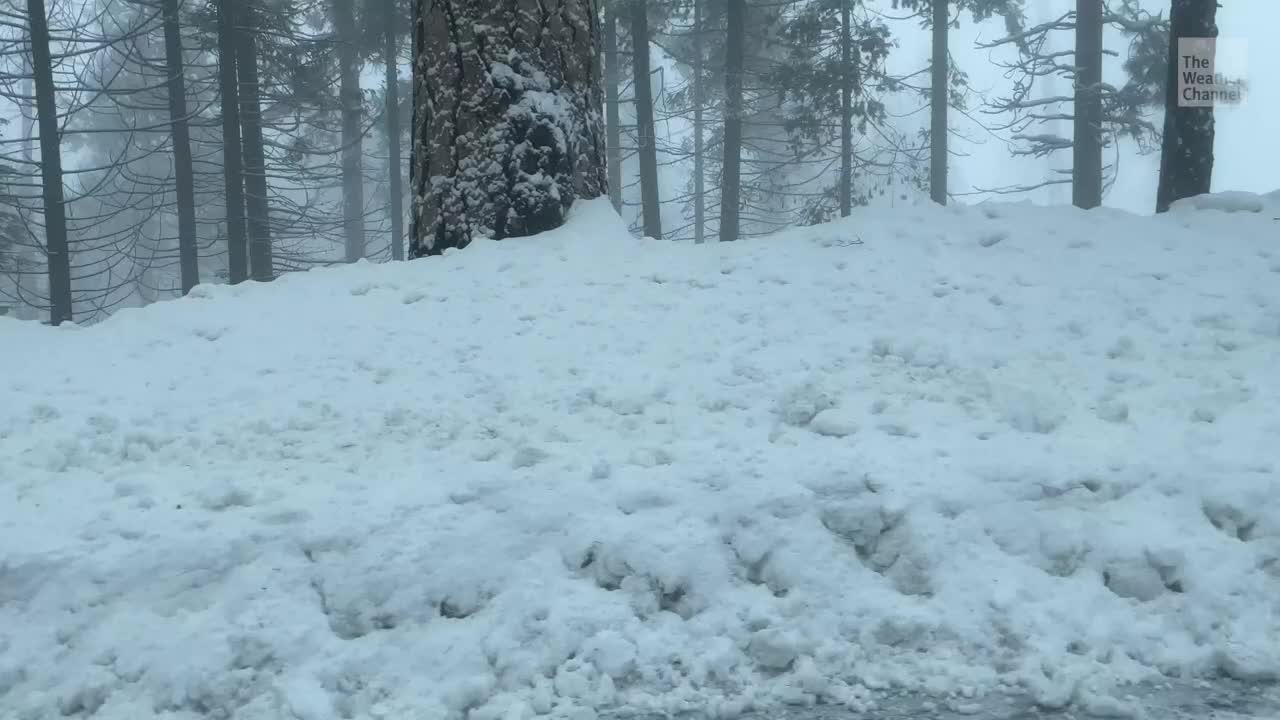 What Happens To California's Snowpack? An Expert Interview