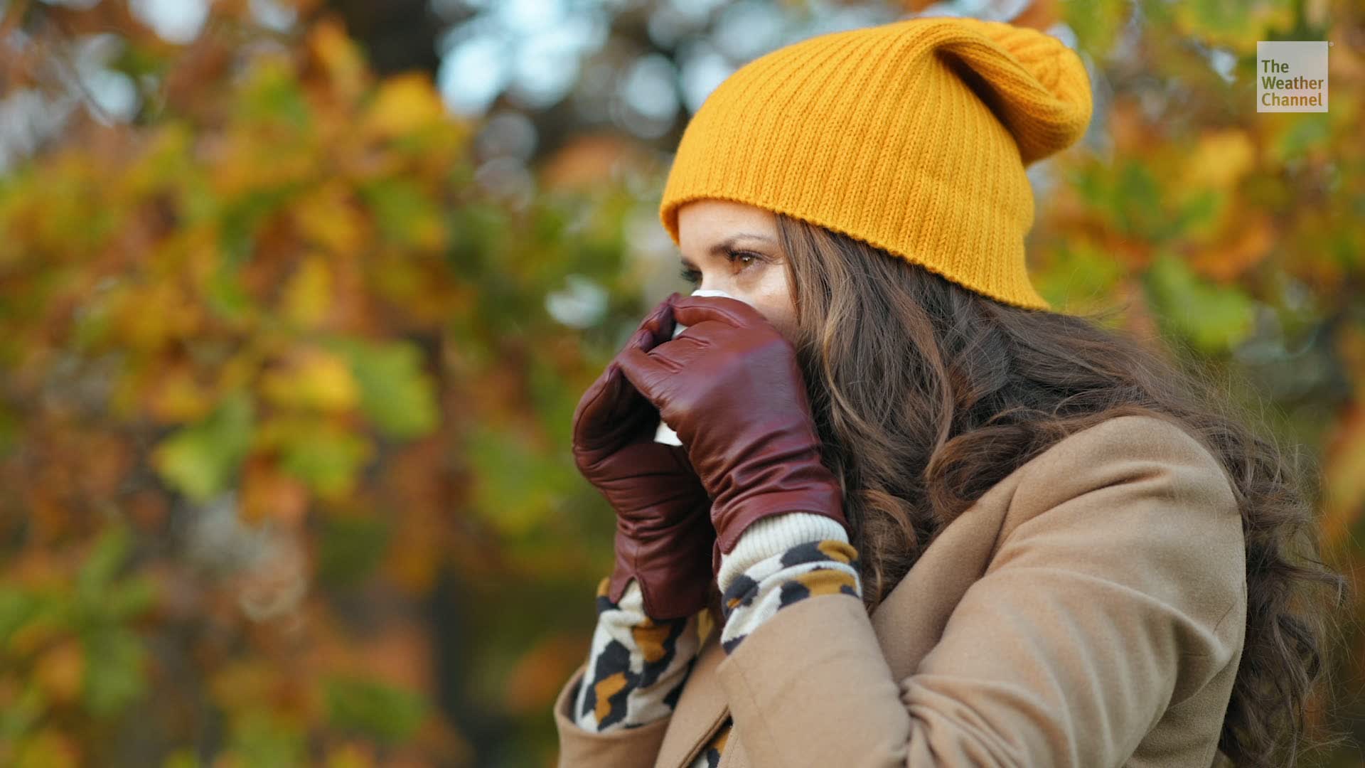 What You Can Expect When Getting a Flu and COVID-19 Vaccine Together