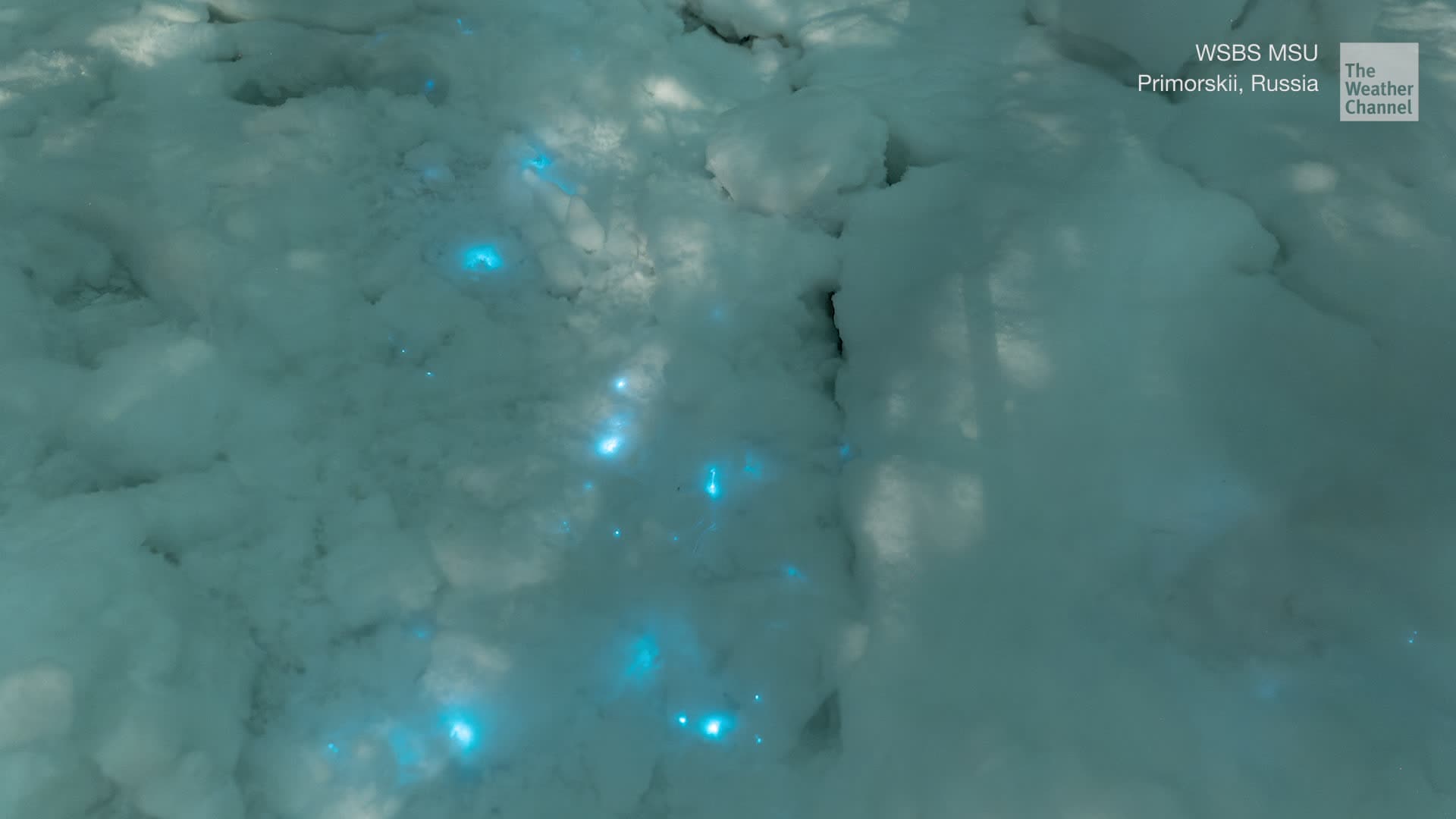 What&rsquo;s Causing This Glow in the Dark Snow?