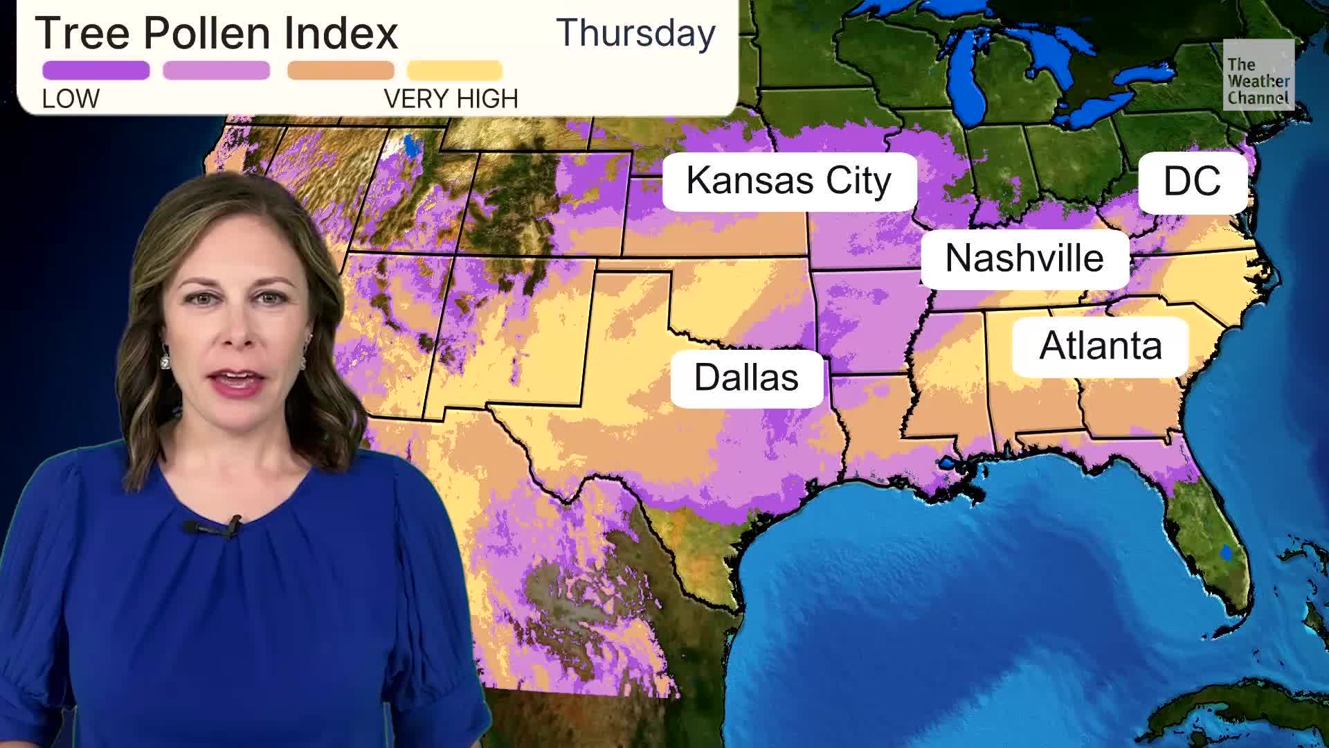 Where Rain May Bring Some Pollen Relief To Allergy Sufferers