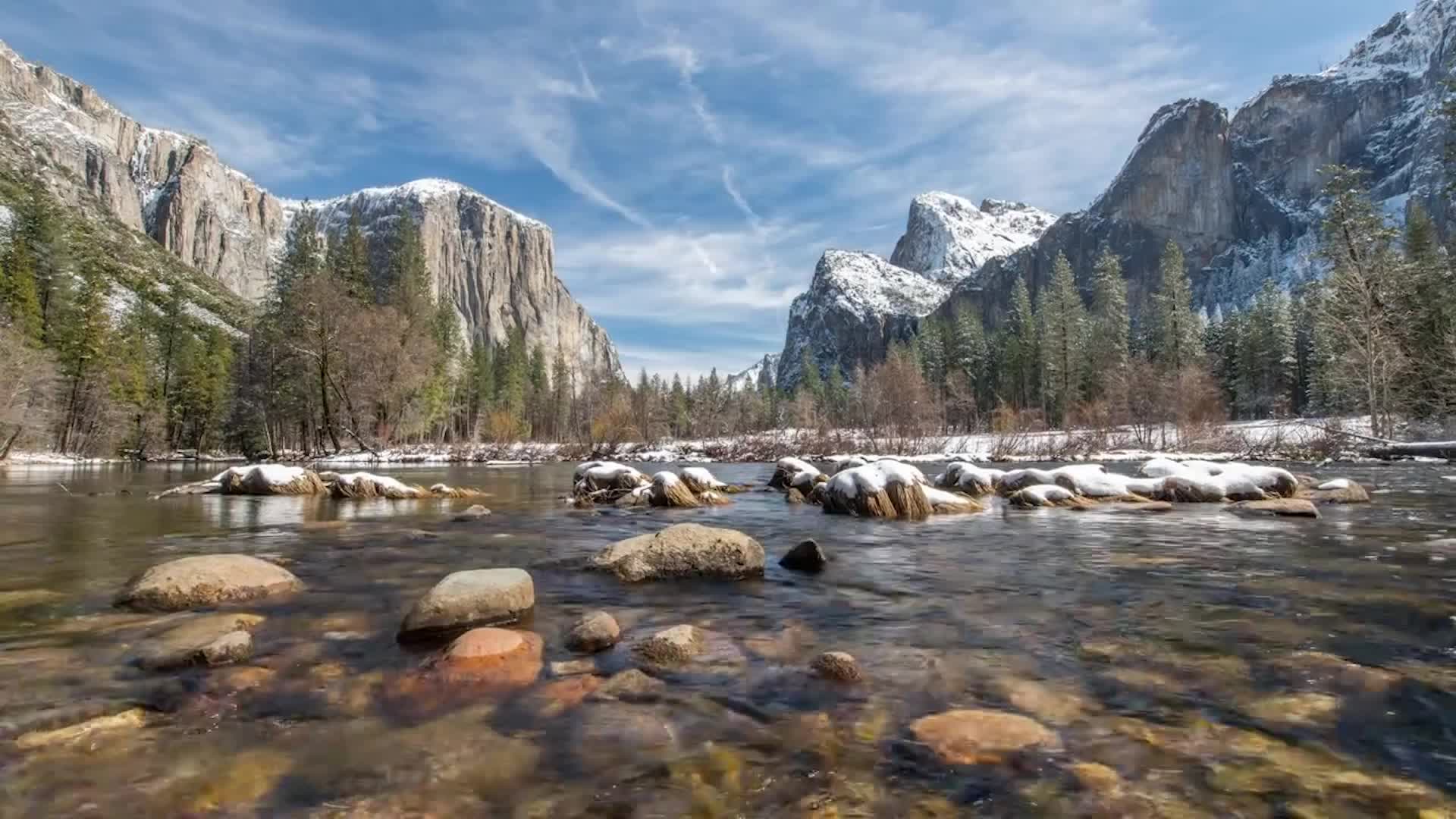 Where You Can See Spectacular Winter ‘Snowliage’