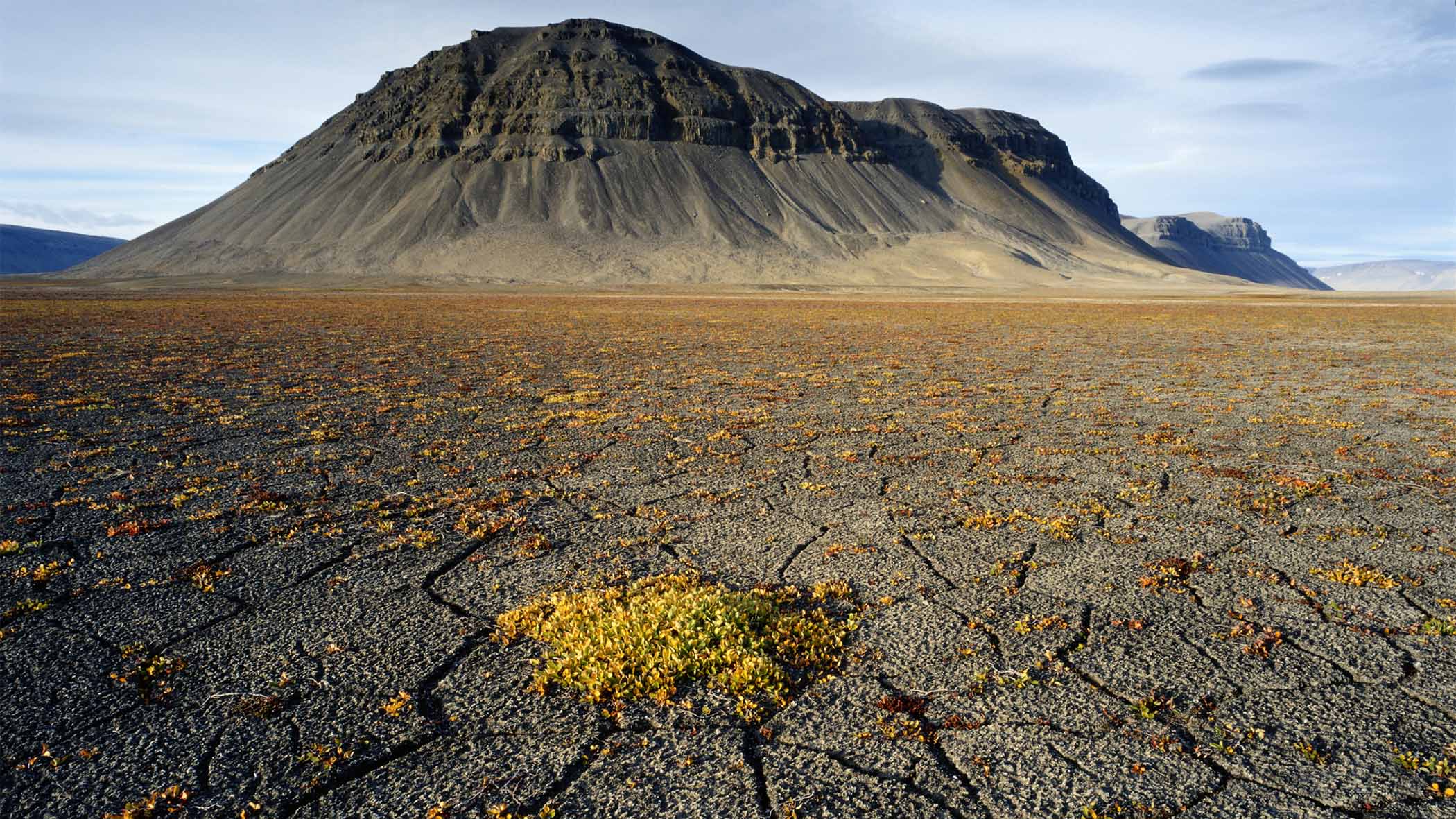 Bare landscape