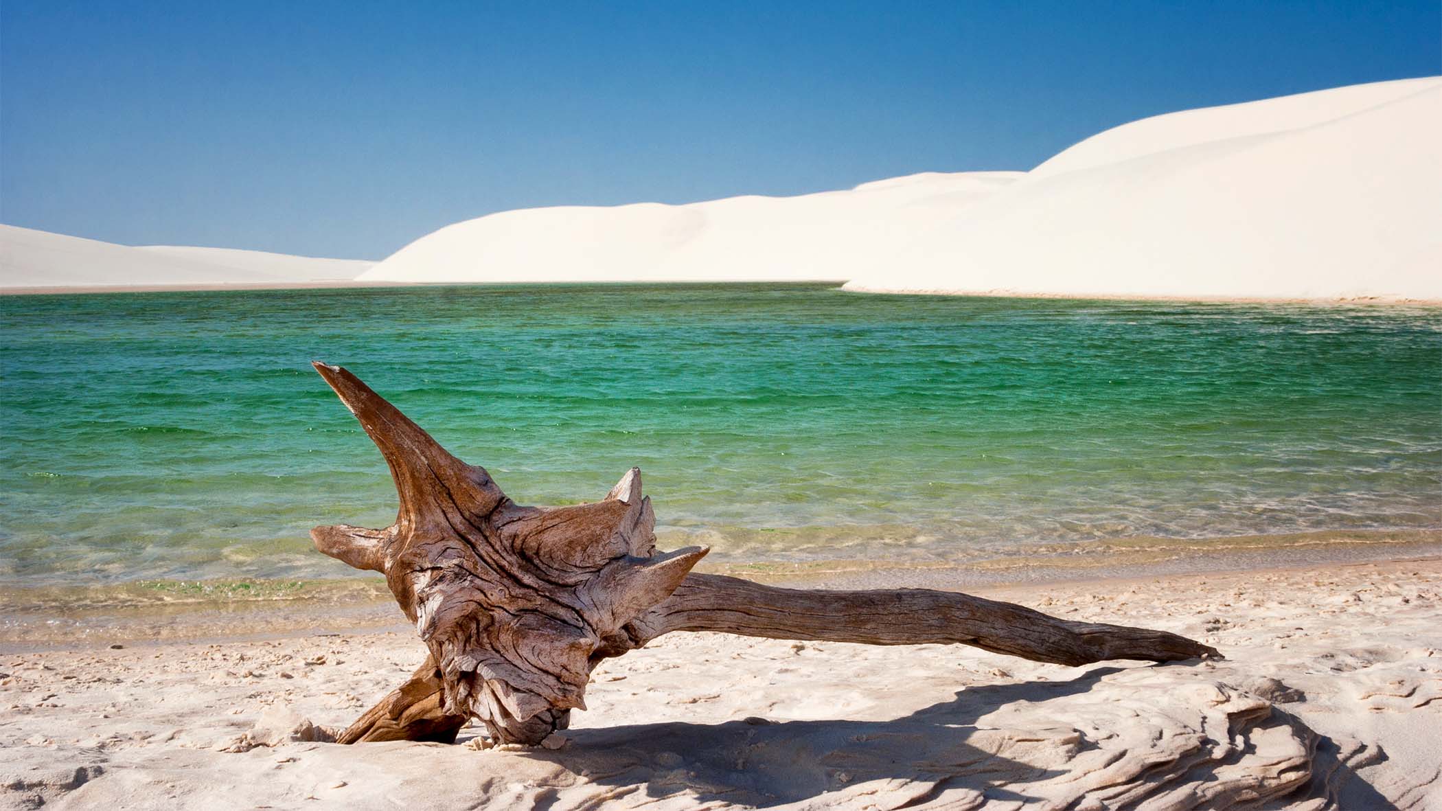 a piece of wood on a dune by water