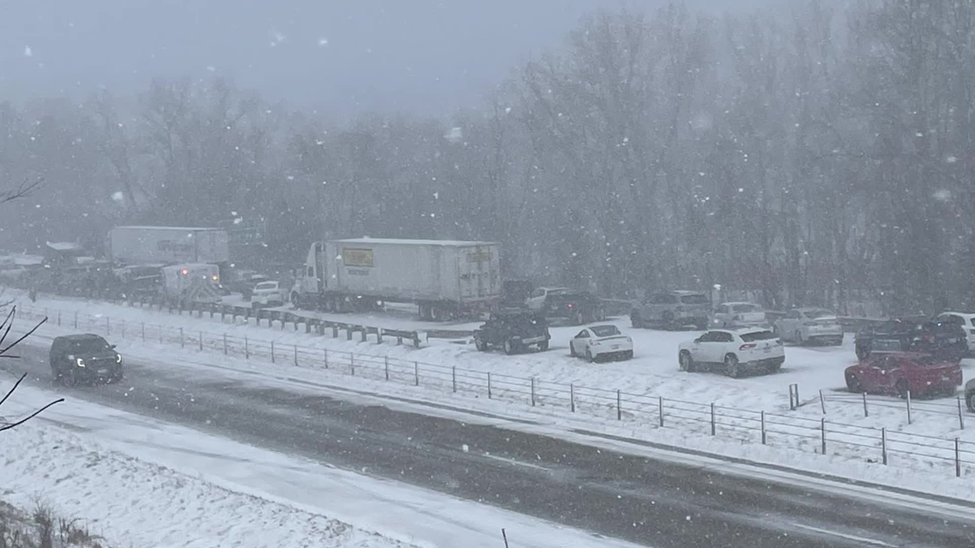 Whiteout Conditions Result In 100-Vehicle Pileup In Michigan, No Serious Injuries