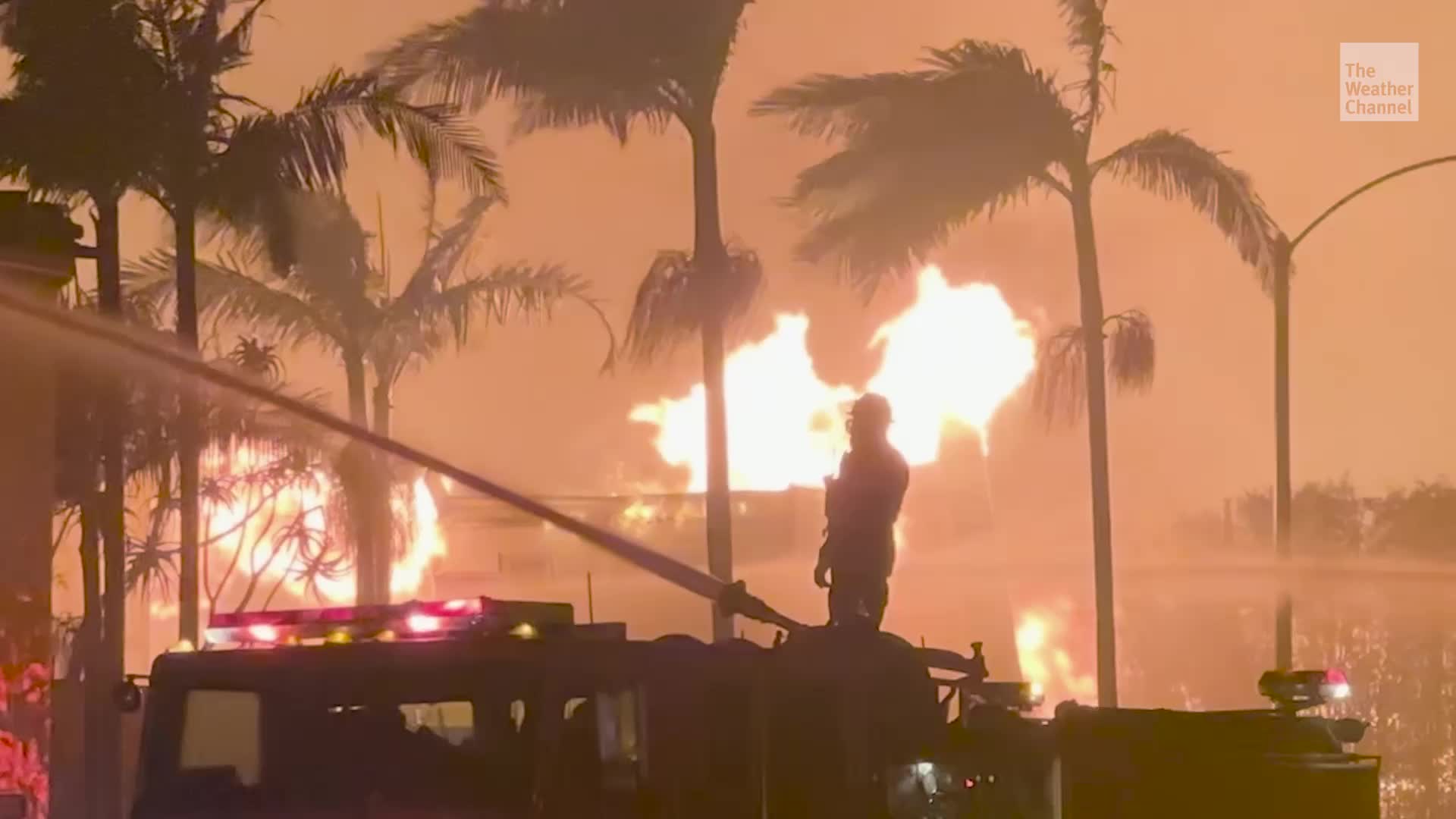 Why The Eastern US Is Facing More Wildfires