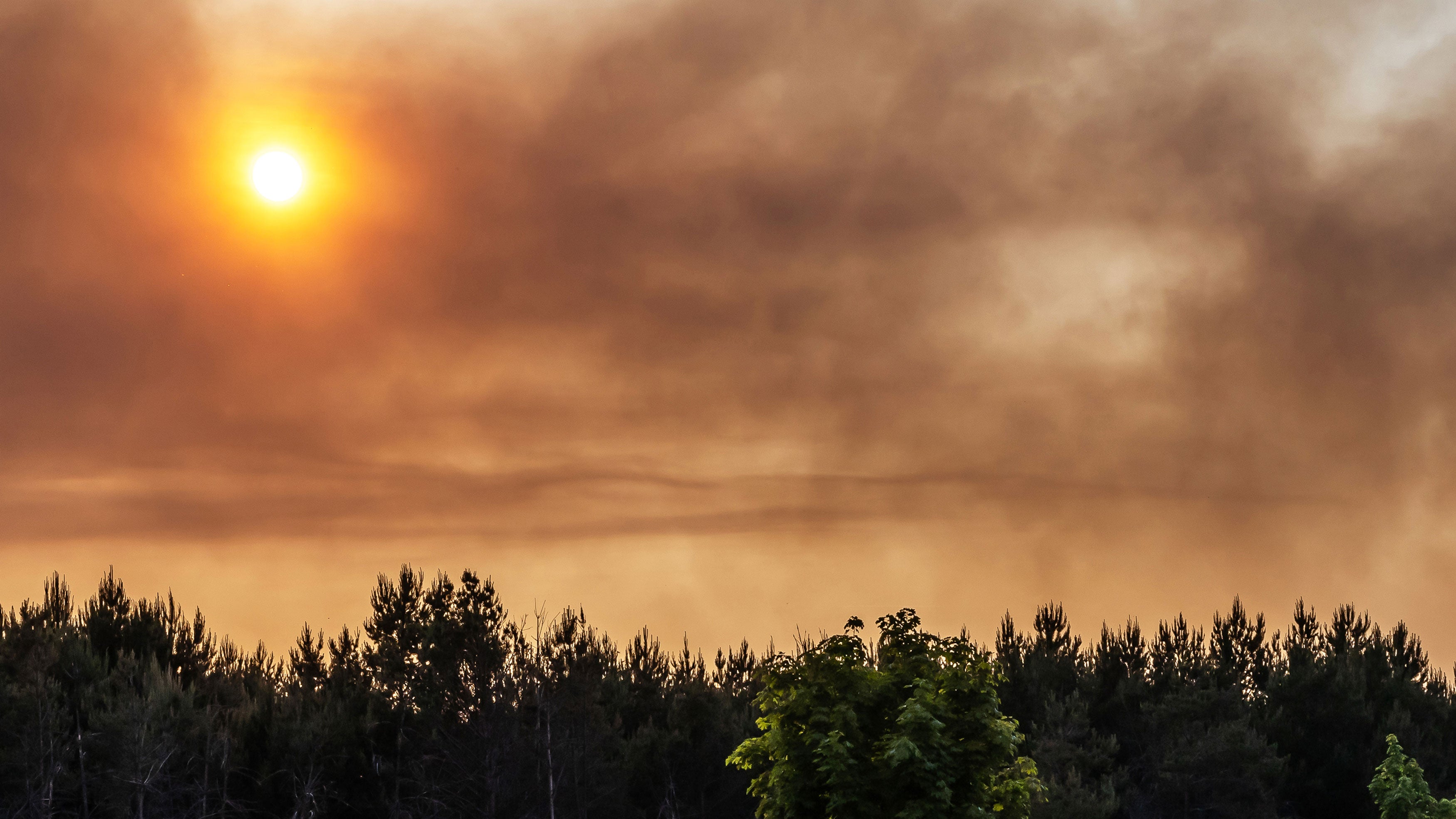 Why is wildfire smoke worse in the morning?