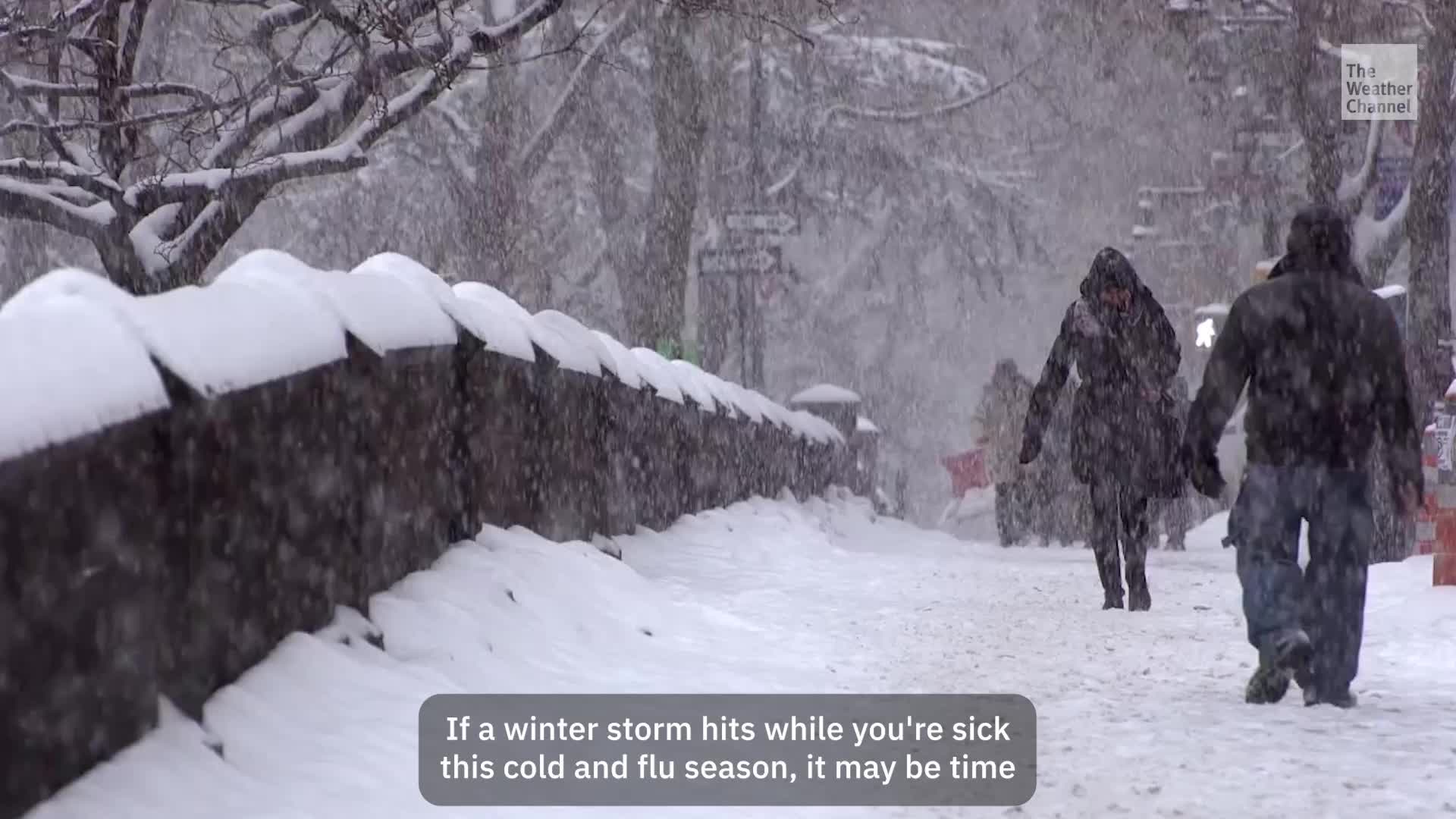 Winter Storm Survival For The Cold And Flu Weary