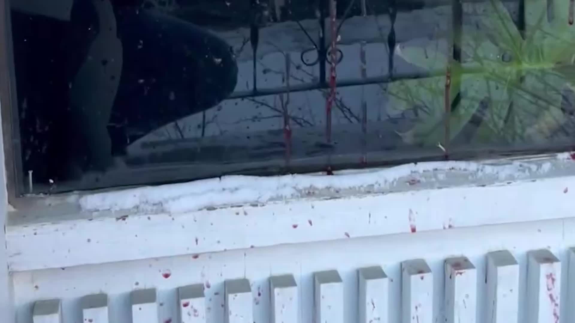 Winter Wine Disaster Red Wine No Match For Calgary Winter