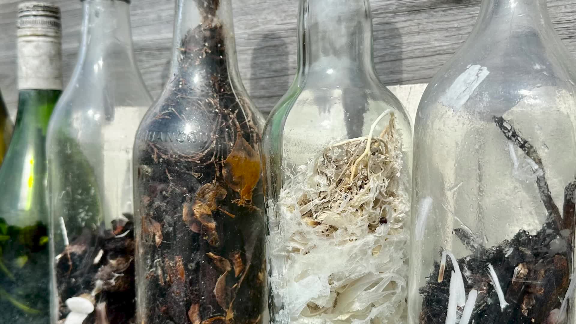 &lsquo;Witch Bottle&rsquo; Found Along Gulf Coast In Texas