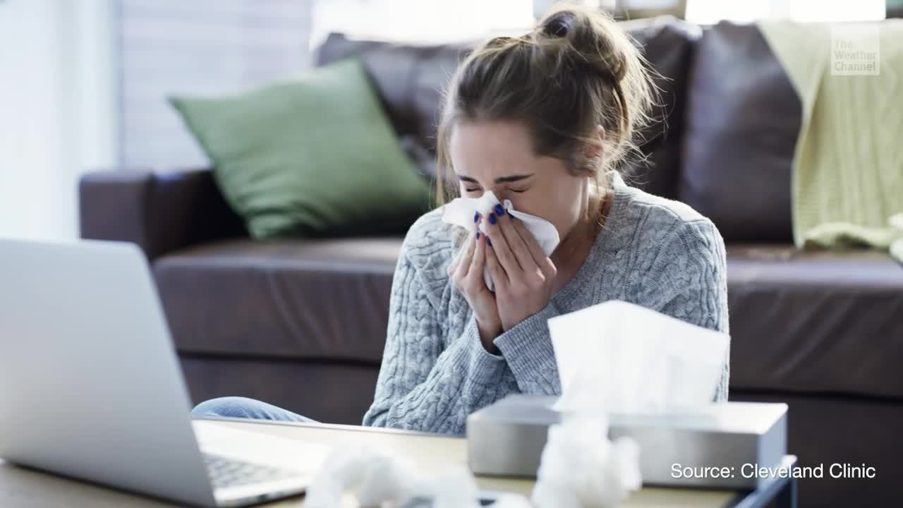 With Winter Comes Colds. We&rsquo;re Breaking Down the Relationship Between the Two