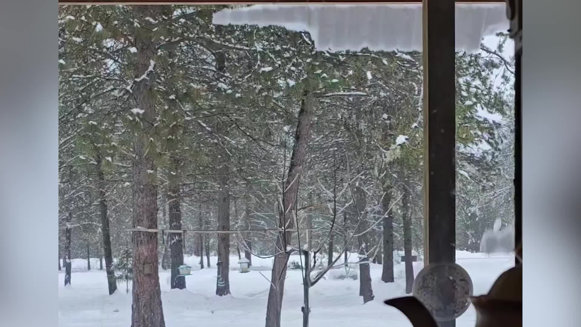 Woman Catches Perfect Moment Melting Snow Slid Off Her Roof