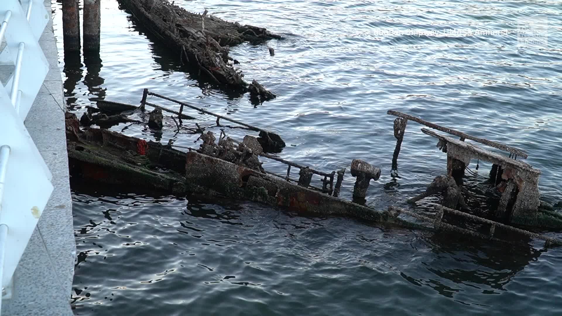 Wood You Believe It? Uncovering How These &lsquo;Worms&rsquo; Sink Ships