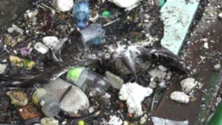 World Leaders, But Not the US, Pledge to Curb Flow of Plastic to Poor Countries