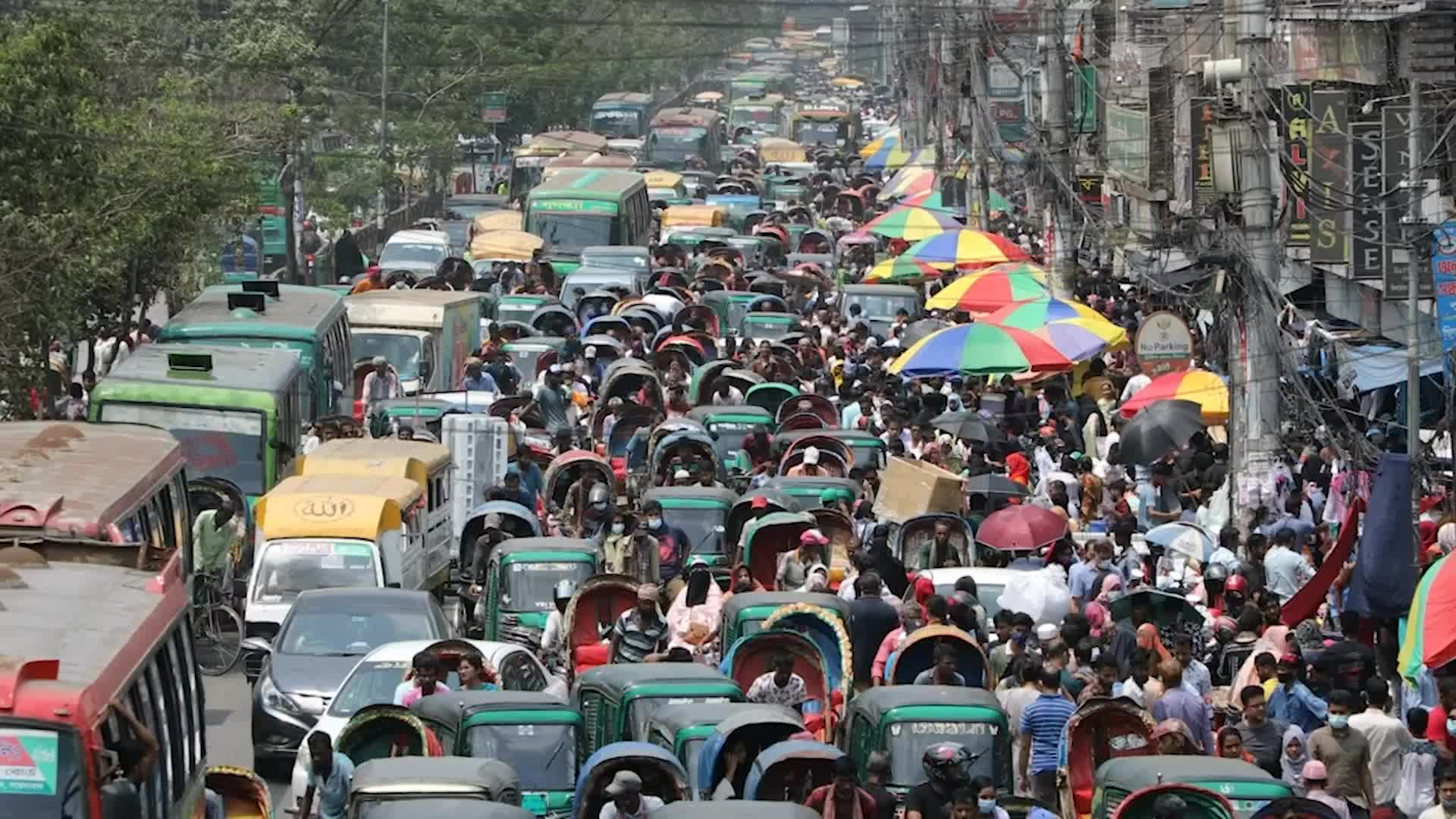 World Population Reaches 8 Billion