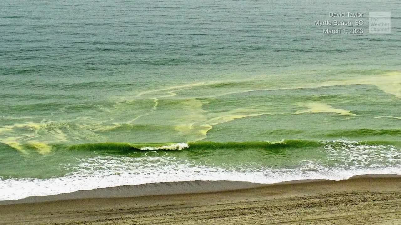 Yellow Coated Waves Are Bad News