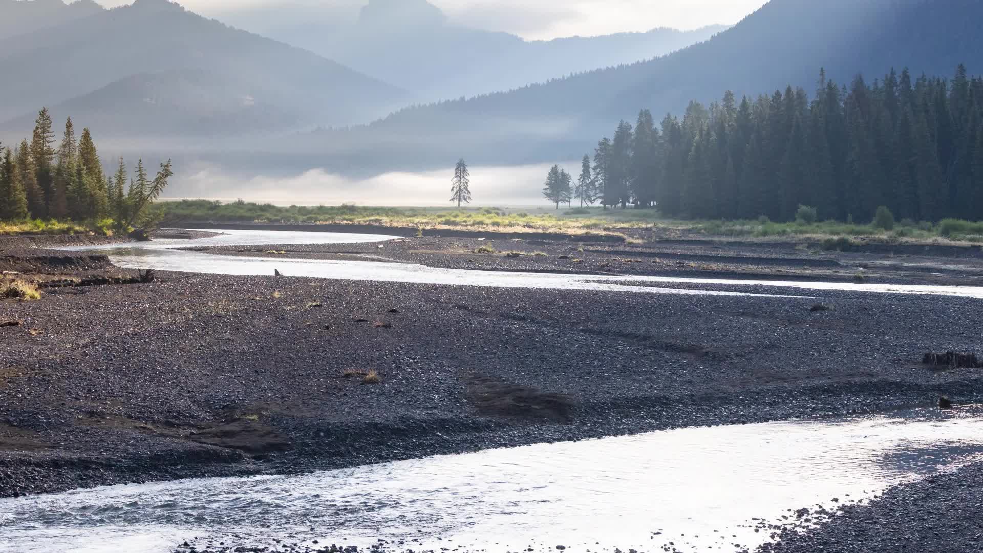 Yellowstone Won't Take Chances With Invasive Species