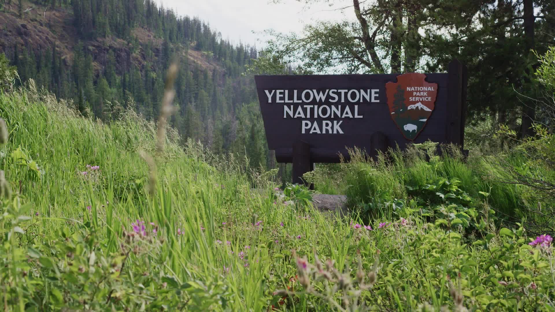 Yellowstone’s Roads Are Reopening As Summer Approaches