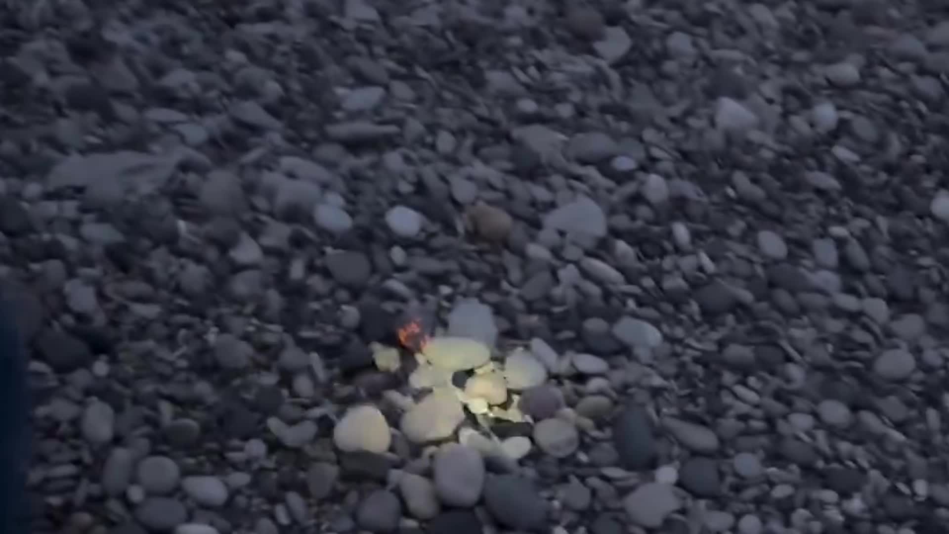 Yooperlites: Glowing Rocks You Can Find