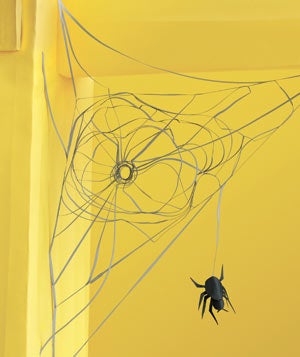 5 Everyday Dangers Not to Worry About