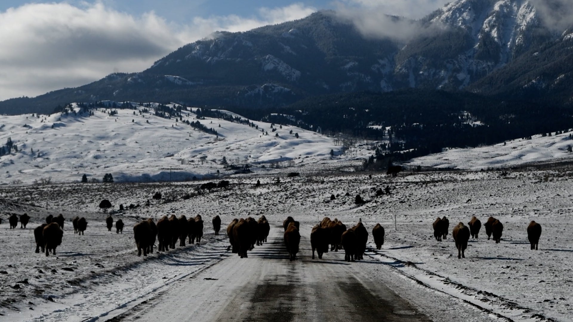Forget Summer, These National Parks Are Even Better In The Snow