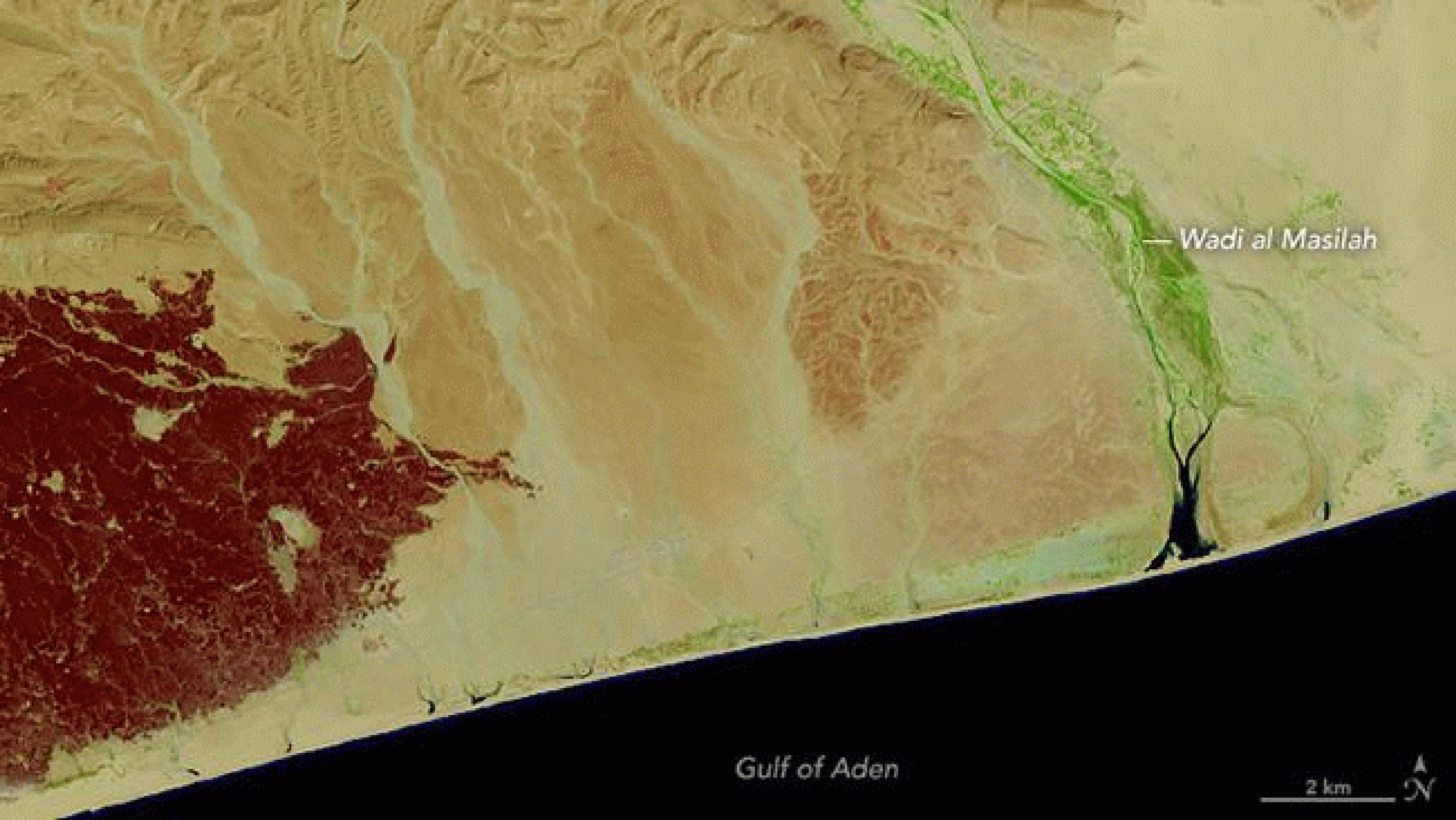 Before (Oct. 19, 2015) and after (Nov. 4, 2015) Landsat 8 satellite images of a flooded wadi and coastal area of Yemen resulting from Cyclone Chapala.